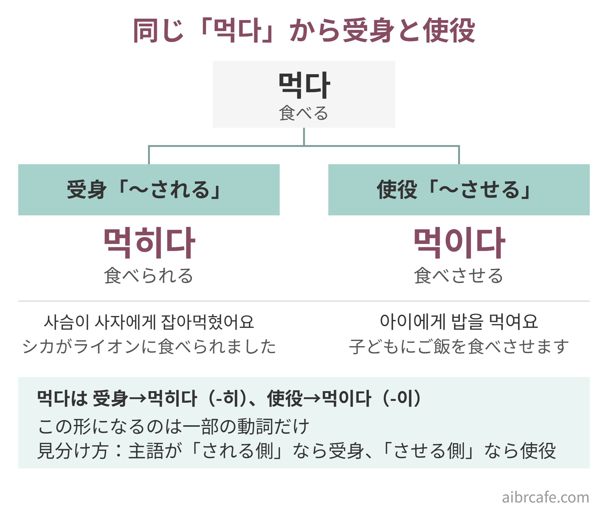 먹다（食べる）から受身と使役ができる図。受身は먹히다（食べられる）、例：사슴이 사자에게 잡아먹혔어요（シカがライオンに食べられました）。使役は먹이다（食べさせる）、例：아이에게 밥을 먹여요（子どもにご飯を食べさせます）。この形になるのは一部の動詞だけで、主語がされる側なら受身、させる側なら使役